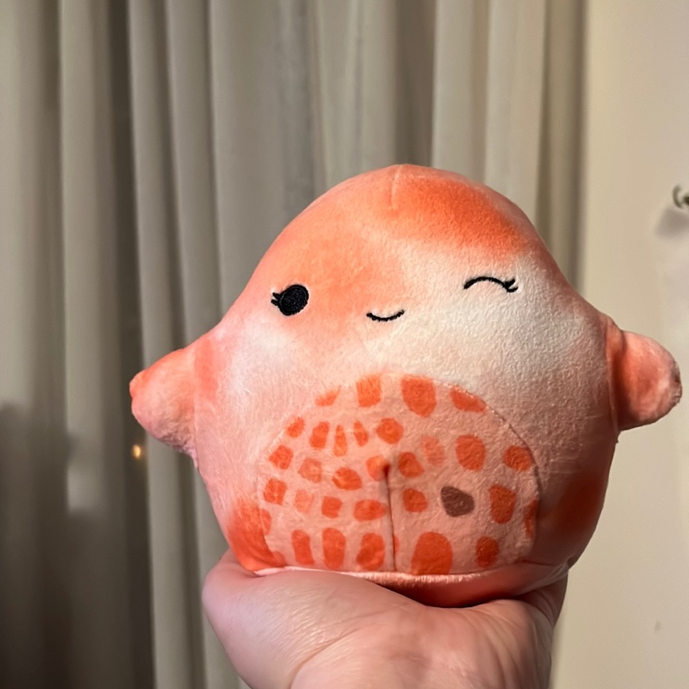 Livvy Starfish Squishmallow New